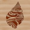 Colorful Shell Design Vector Art A colorful illustration of a seashell found on the seaside.