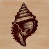 A delicate seashell design suitable for vector art projects, ideal for seaside-themed templates or cutting machine designs.
