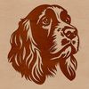 Cocker Spaniel Portrait Art A detailed illustration of a Cocker Spaniel's head from various angles.