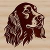 A close-up illustration of a Cocker Spaniel's head, featuring a furry face and floppy ears.