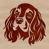 A portrait of a happy Cocker Spaniel with its head slightly tilted.