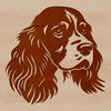 Friendly Cocker Spaniel Vector Illustration A vector illustration of a friendly Cocker Spaniel dog breed with its head held high.