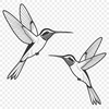 Iridescent Bird Silhouette Art A colorful illustration of a hummingbird in flight, showcasing its distinctive beak and iridescent feathers.