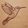A vector graphic design featuring a close-up view of a hummingbird's beak and wings.