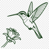 Ornate Hummingbird Design A digital vector graphic design featuring a detailed hummingbird amidst ornate flowers.