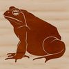 Simple Wild Toad Illustration A vector illustration of a wild animal toad in a simple design.