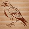 Bird Silhouette - Free Commercial Use A high-resolution vector illustration of a falcon bird in flight.