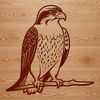 Falcon SVG Silhouette SVG silhouette of a falcon animal for commercial and personal use.