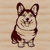 A small domesticated dog sitting on its haunches.