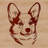 A high-quality vector image of a Corgi's head.