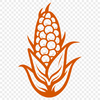 A realistic illustration of a single ear of corn with husk and silk.