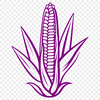 A detailed illustration of a corn ear with kernels, suitable for vector design and commercial use.