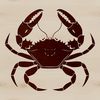 A detailed illustration of a crab, suitable for use in graphic design projects.