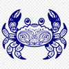 Stunning Crab Image