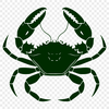 Artistic Crab Clipart