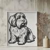 Beautiful Havanese PDF