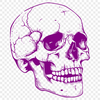 Stunning Skull In SVG Free Commercial Use Download