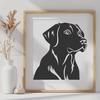 Labrador Retriever In PNG & PDF