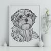 Beautiful Havanese - PNG Format