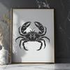 Crab In PDF For Download, Free Commercial Use