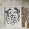 Beautiful Australian Shepherd In PNG - Free Digital Download