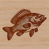 Detailed Vector Fish Design A vector graphic representation of a Crappie fish with intricate details.