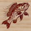 Colorful Crappie Design SVG File A colorful illustration of a freshwater fish species known as the Crappie.