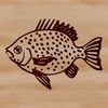 An illustration of a Crappie fish, a type of freshwater animal found in North America.