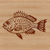A digital illustration of a Crappie fish with detailed features, suitable for various applications.