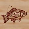 Illustrated Crappie Fish with Distinctive Markings A detailed illustration of a Crappie fish with its distinctive markings.