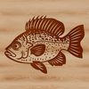 A detailed illustration of a Crappie fish, suitable for vector graphics and cutting machine projects.