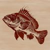 Wild Crappie Design Vector Art A detailed illustration of a Crappie fish, a type of wild animal found in North American waters.
