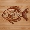 Delicate Crappie Design An accurate vector graphic representation of a Crappie, suitable for various design applications.