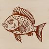 Crappie Illustration A detailed illustration of a freshwater fish known as the Crappie.