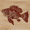 Hand-drawn Fish Illustration A line drawing of a Crappie fish, ideal for use in digital designs and craft projects.