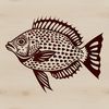 An SVG rendering of a wild animal found in North American lakes and rivers, identified by its distinctive appearance.