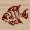 Beautiful Freshwater Fish Illustration Illustration of a freshwater crappie fish species.