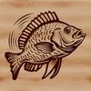 Crappie Fish Illustration in SVG Design A detailed digital drawing of a wild Crappie animal in SVG design style.