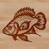An illustration of a white crappie fish in a serene water environment.