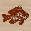 Vector Graphics of a Crappie Fish A detailed illustration of a Crappie fish, suitable for vector graphics and digital designs.