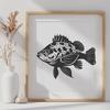 Beautiful Crappie In DXF Free Commercial Use Download