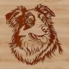 Calm Companion A digital illustration of a mature Australian Shepherd dog's head with a calm expression.