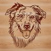 Australian Shepherd Dog Portrait Close-up illustration of a Australian Shepherd dog's head.