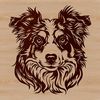 Close-up illustration of an Australian Shepherd dog's head with a naturalistic style.