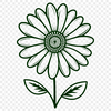 Beautiful Daisy Flower in Full Bloom A vector illustration of a daisy flower in bloom.