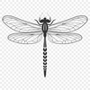 Stylized Dragonfly Graphic Element An SVG graphic design element featuring a stylized dragonfly shape.