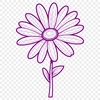 Dainty Daisy Bloom A detailed illustration of a daisy flower with white petals and a yellow center.