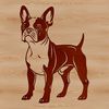 Boston Terrier Breed Illustration A detailed illustration of a standing Boston Terrier dog breed, suitable for various digital formats including SVG and PNG.