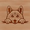 Shiba Inu Portrait from Behind an Object A close-up view of a Shiba Inu's head peeking from behind an object.