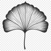 Elegant Leaf Graphic A stylized leaf graphic created as a vector image in SVG format.